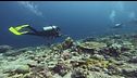 Cinque italiani morti alle Maldive