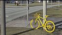 Islanda, bici gialle anti-incidenti