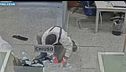 Banda del buco, 12 arresti