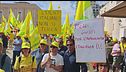 Guerra all'olio contraffatto