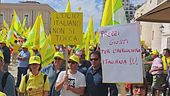 Guerra all'olio contraffatto
