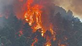 Siccità e incendi, la Sicilia brucia