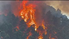 Siccità e incendi, la Sicilia brucia