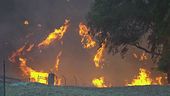 Sicilia in fiamme, allarme incendi
