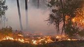 Il fuoco divora Francia e Spagna