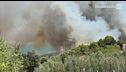 Puglia, ora brucia anche il Gargano