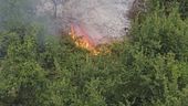 Incendi, bruciati 66mila ettari