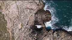 L'invasione delle alghe tossiche