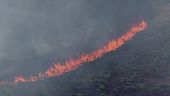 Caldo e incendi, Creta brucia