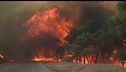 Caldo e siccità, l'Europa in fiamme