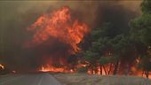 Caldo e siccità, l'Europa in fiamme