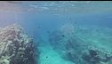 Il Mediterraneo mai così "bollente"