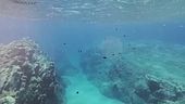 Il Mediterraneo mai così "bollente"