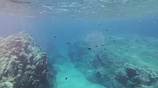 Il Mediterraneo mai così "bollente"