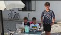 Vendono limonata, denunciati