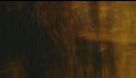 Robin Hood torna al cinema