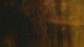 Robin Hood torna al cinema