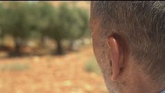 Cisgiordania, la violenza dei coloni