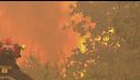 Incendi in Francia, 59 arresti