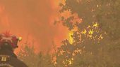 Incendi in Francia, 59 arresti