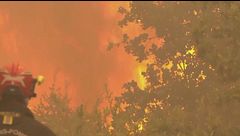Incendi in Francia, 59 arresti