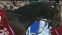 Addio a Varenne, leggenda del trotto