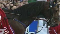 Addio a Varenne, leggenda del trotto