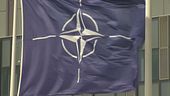 Nato-Iran, "Pronti a difenderci"