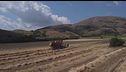 Le sfide dell'agroalimentare