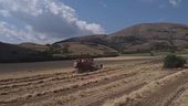 Le sfide dell'agroalimentare