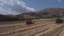 Le sfide dell'agroalimentare