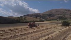 Le sfide dell'agroalimentare