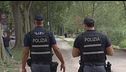 Investe e picchia i ladri, arrestato