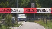 Spari al rave, "Follia omicida"