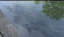Gasolio nel naviglio, è allarme