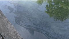 Gasolio nel naviglio, è allarme