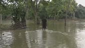 El Nino "Mostruoso", come Godzilla