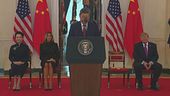 Trump-Xi e la diplomazia del panda