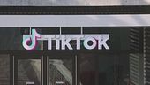 Multa a Tik Tok, "Danni ai minori"