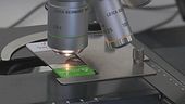 Garlasco, uno scambio di provette?