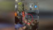 Napoli, identificato il branco