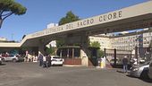 Leone operato, "Forza Papa"