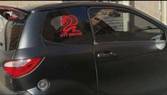 Minicar, "L'abbiamo fatto per noia"