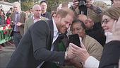 Harry e Meghan, prima uscita "reale"