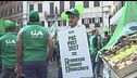 Caro-energia, gli agricoltori a Roma
