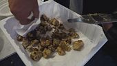 Acqualagna, il re è il tartufo