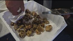 Acqualagna, il re è il tartufo