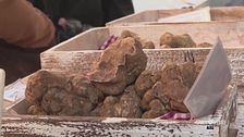 Fiera Nazionale del tartufo bianco pregiato di Sant'Agata Feltria
