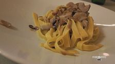I funghi più utilizzati in cucina all'Altopiano di Asiago