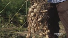 Venerdì 27 febbraio